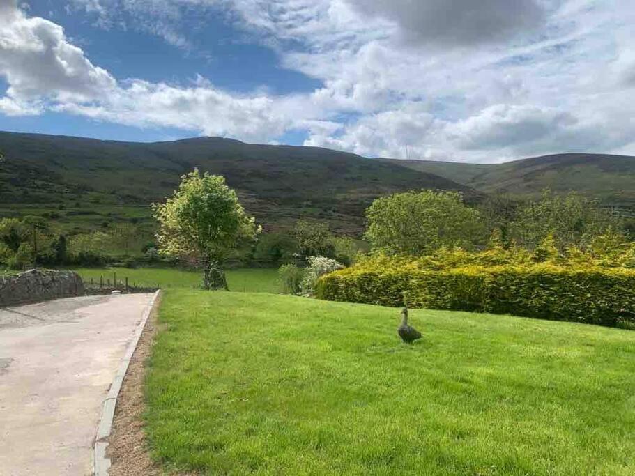 Villa Mountain House Omeath Near Carlingford O Meith Exterior foto